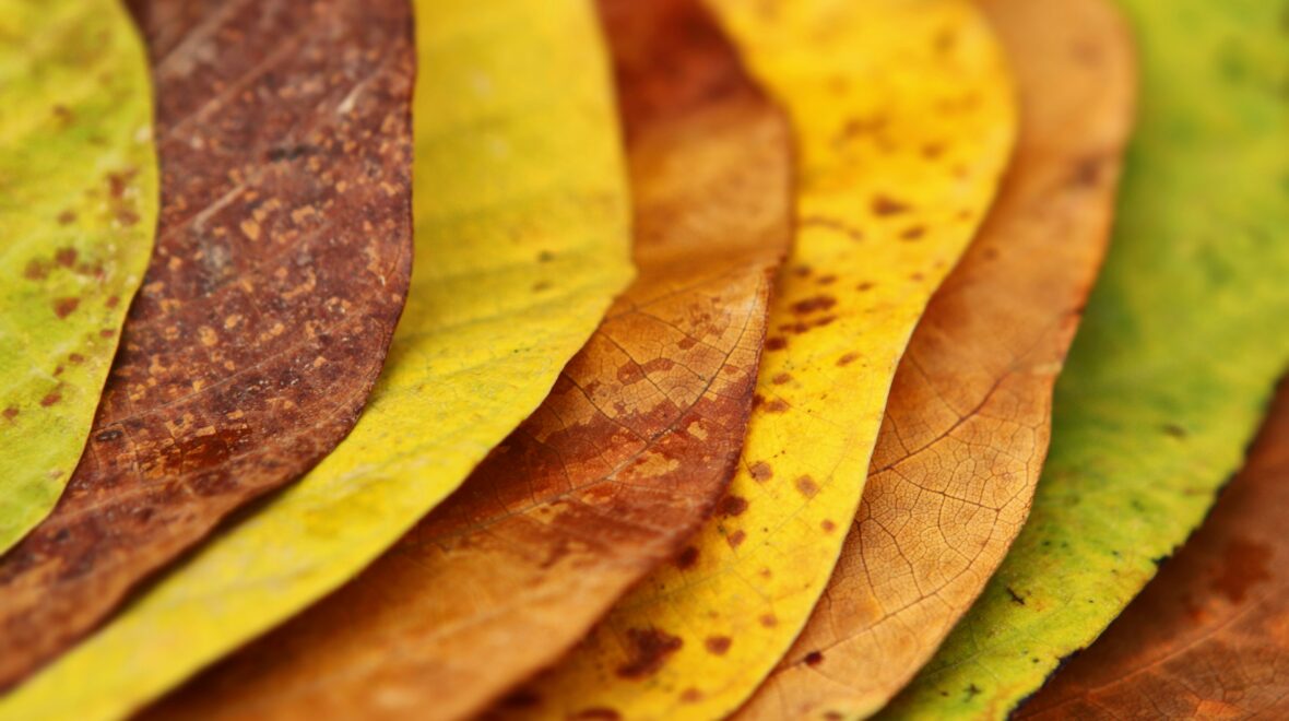 Abstraction Layers: The Invisible Lines That Hold Software Together